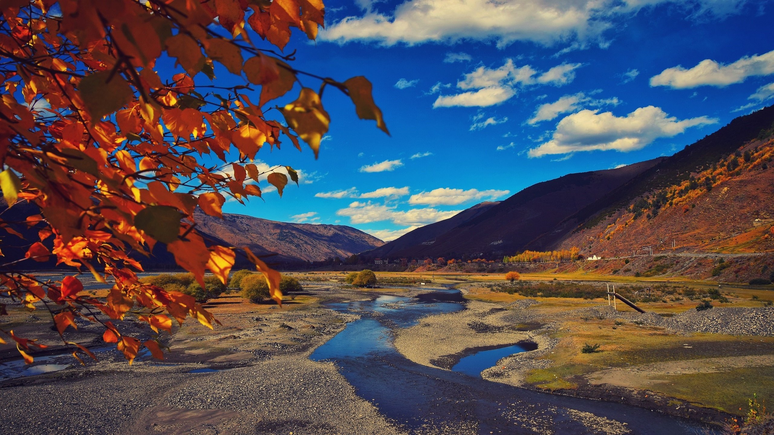 秋意正浓,高原,湖水,雪山