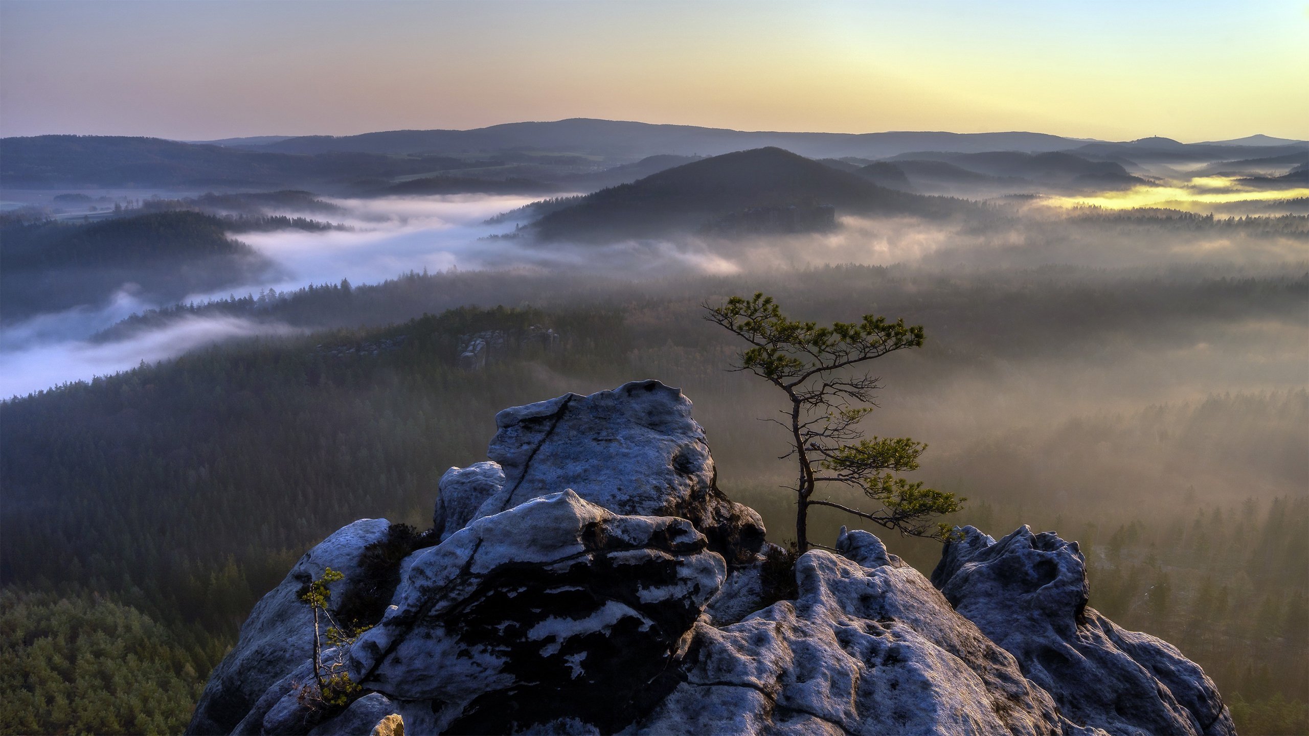 自然风光,高山,云雾