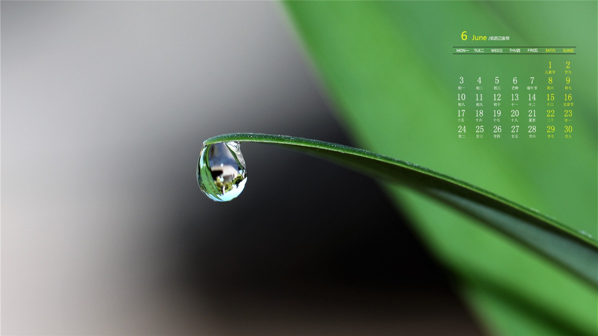 月历,2019年6月