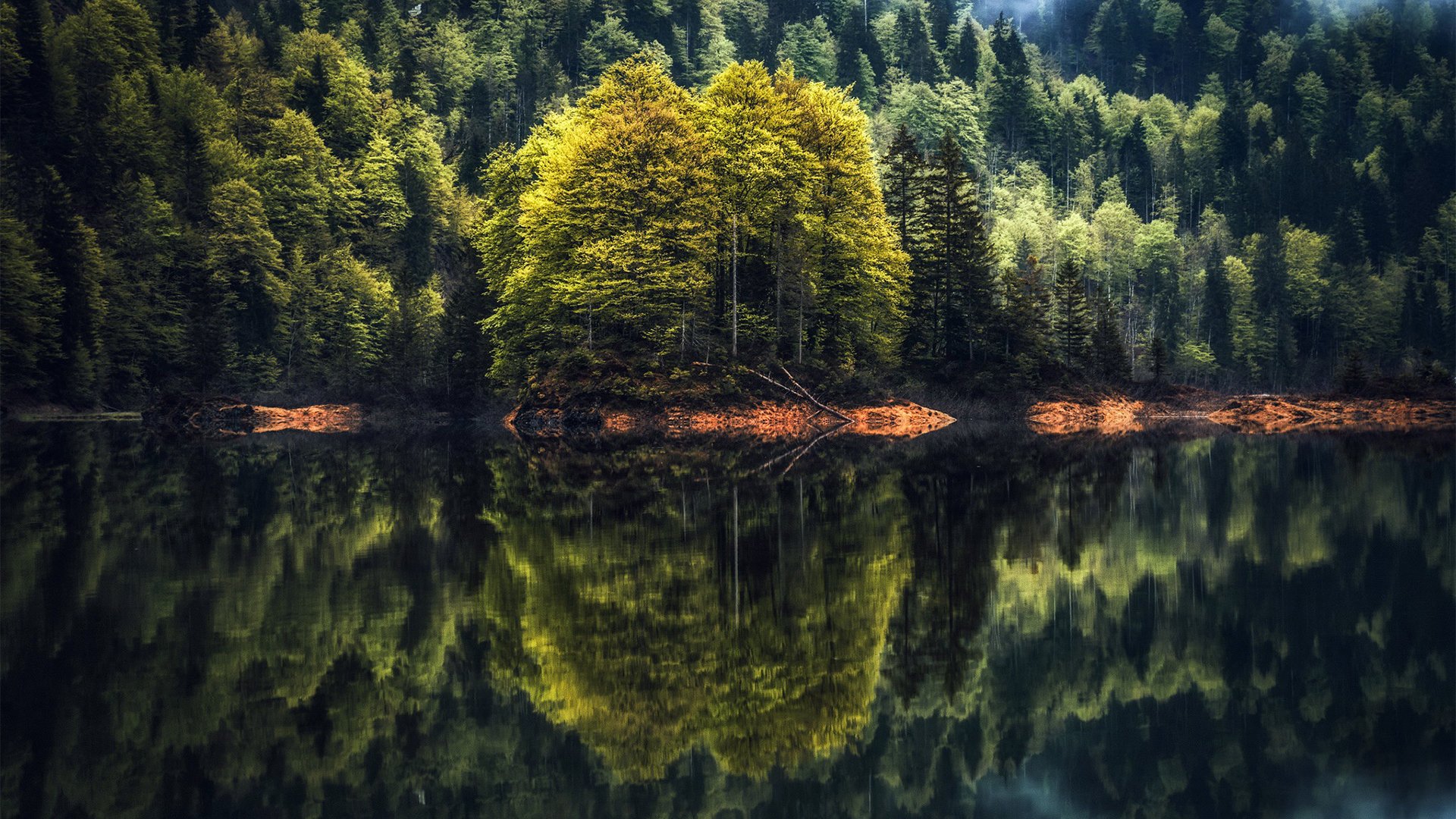 自然风光,湖水,绿