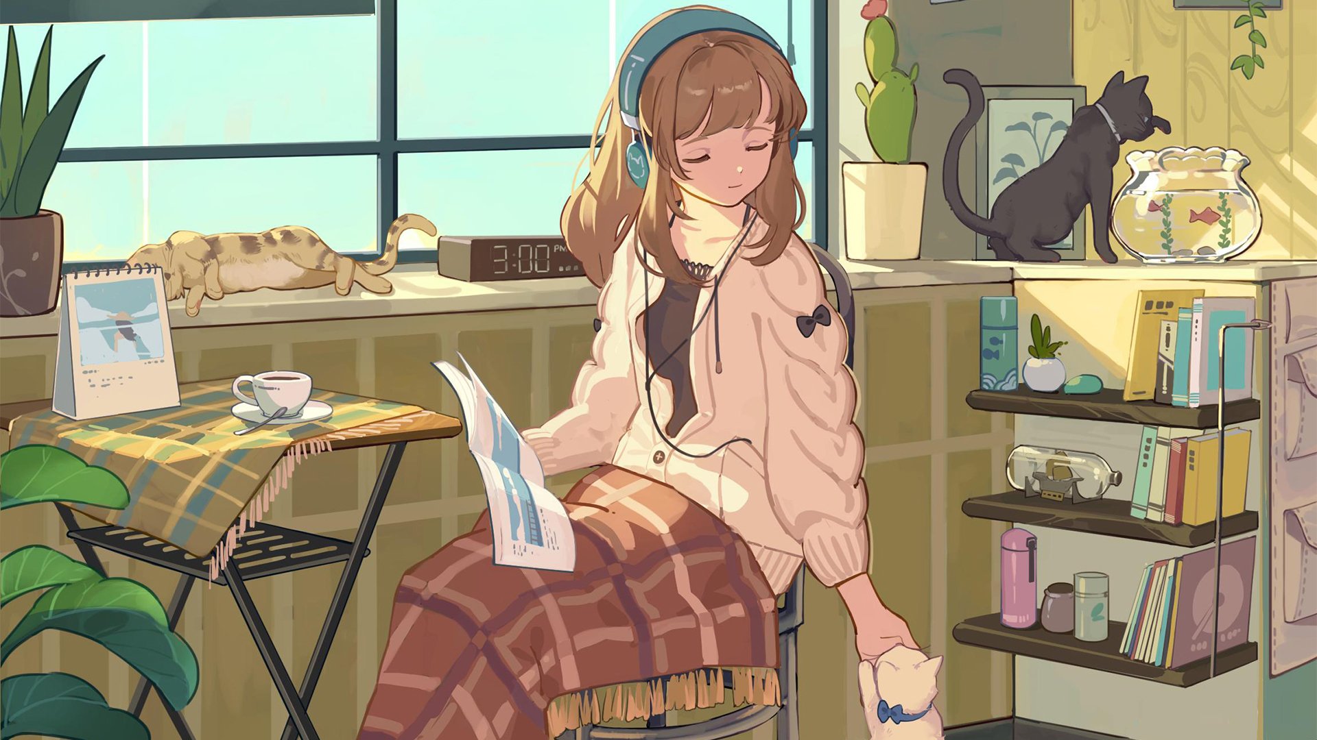 卡通人物,猫咪,家